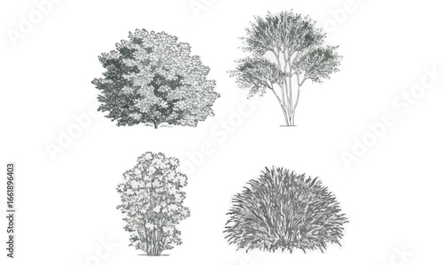 Tree & Shrub Silhouettes Vector Tree Lineup, Bush Clusters, Landscape Icons