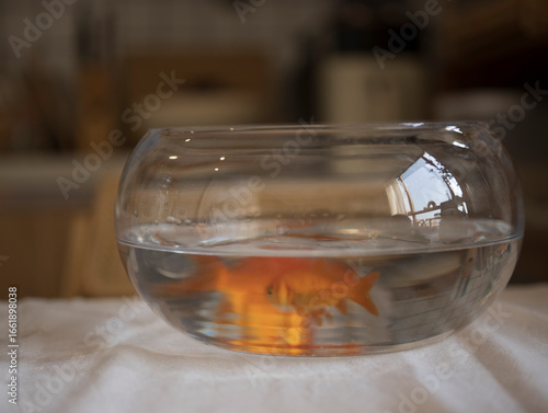 aquarium