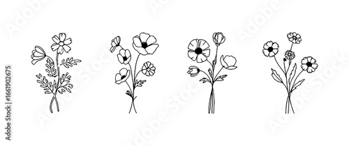 Floral illustrations showcasing various flower types in a minimalist style created for artistic inspiration