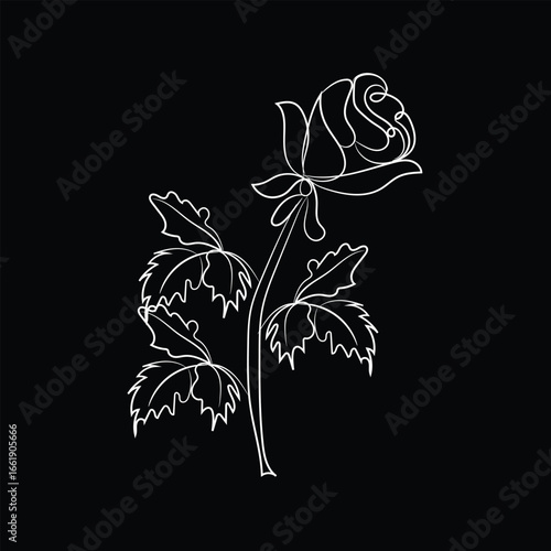 black and white rose
