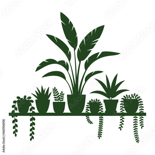 Silhouette of various potted houseplants on a shelf