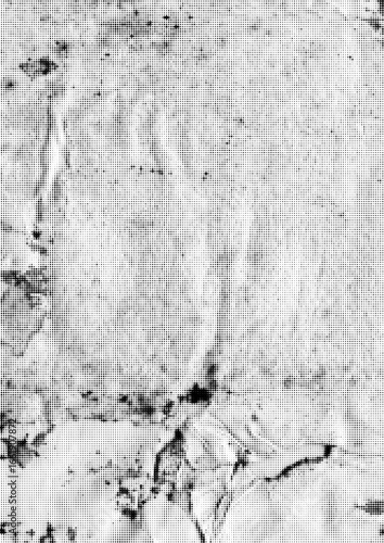 Large vector halftone vintage paper texture with a transparent background