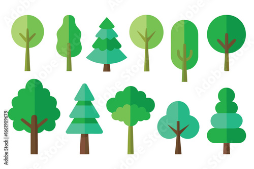 Cartoon Green Trees Flat Illustration of Deciduous and Coniferous Tree Designs