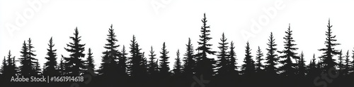The silhouette of Christmas fir trees in a forest is set against a panorama of coniferous spruce in a park of evergreen wood, presented on a modern white background