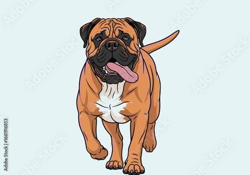 An illustration of a brown Bullmastiff dog walking forward with its tongue out.