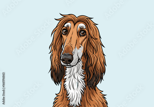 Close-up portrait of an Afghan Hound.