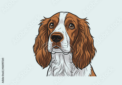 A detailed illustration of the head of a Springer Spaniel dog with brown and white markings.