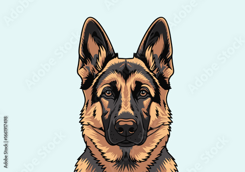 Close-up portrait of a German Shepherd dog.