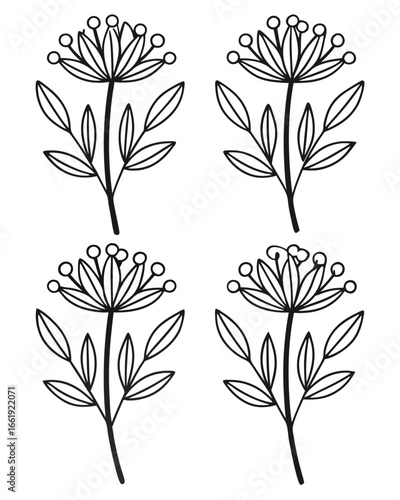 Four hand-drawn outline botanical illustration of flowering stems drawing