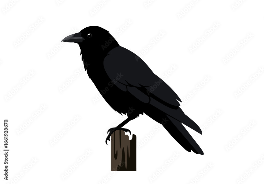 Fototapeta premium Black crow perches on a wooden post against a white backdrop