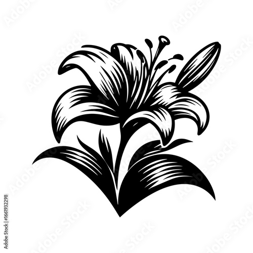 Black and white vector silhouette of a lily on a white background.