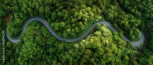 Fototapeta Naklejka Na Ścianę i Meble -  The winding road through a lush green forest seen from above