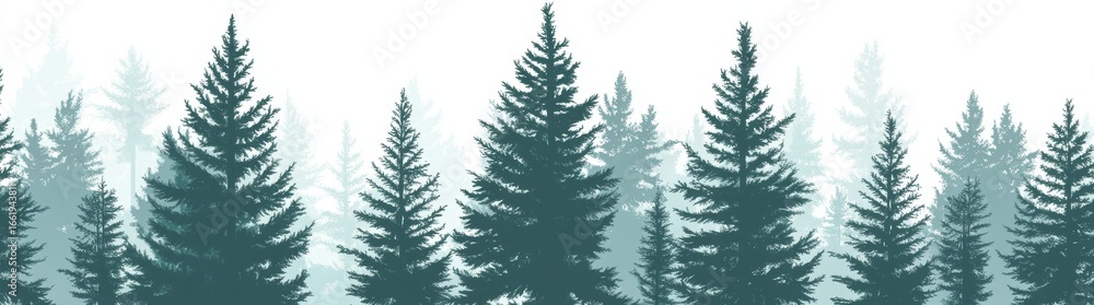 Obraz premium Modern illustration featuring a forest panorama view with pines and spruce in a natural landscape setting as a forest background