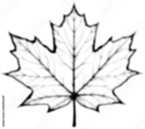 Detailed black and white outline of a maple leaf design concept. Vector illustration