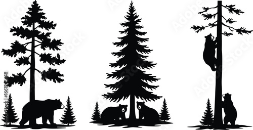 Black silhouette of bears in forest, climbing trees, resting together, pine trees, nature vector illustration, wildlife, bear family, animal scene, wild forest drawing