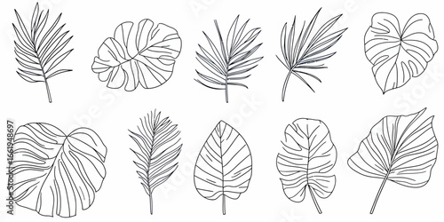Set of ten tropical palm and monstera leaves line art illustrations in minimalist continuous stroke style isolated on white background for botanical design elements and nature themes