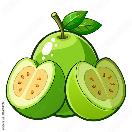 vector illustration of a guava