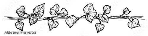 hand drawn ivy plant branch with leaves