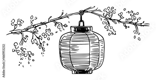 hanging paper lantern on blossom branch hand drawn vector sketch illustration