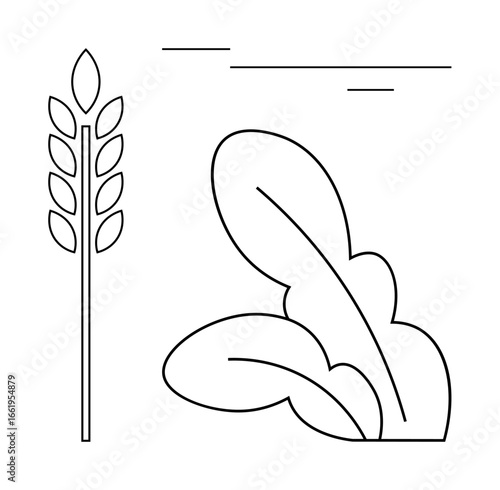 Wheat stalk and leafy greens with minimalist lines symbolizing agriculture, harvest, nutrition, and sustainability. Ideal for farming, biodynamics, health, environment growth wellness. Simple flat