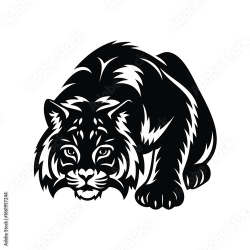 Silhouette of a Predatory Bobcat in a Stalking Posture on White Background