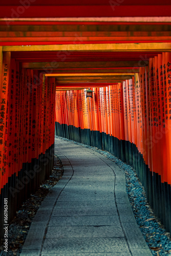 Early morning glow at Fushimi Inari Shrine in Kyoto