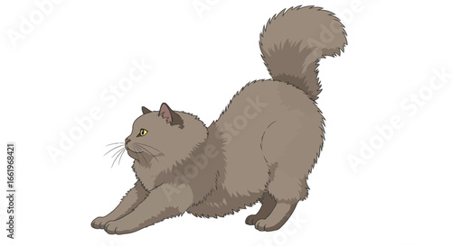 Furry cat stretching with fluffy tail in detailed cartoon style