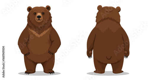 Front and back view of cartoon bear character