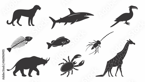 Diverse collection of black animal silhouettes for design projects