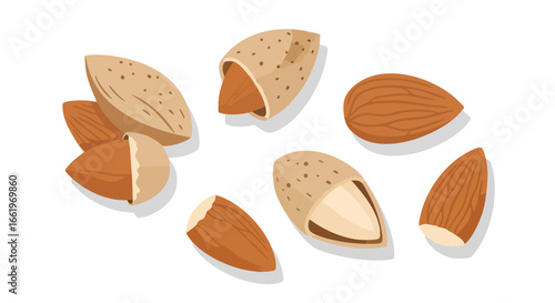 Wholesome Almonds: A Collection of Natural Nuts Displaying Textural Variety on White Background