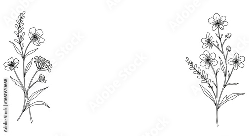 Elegant floral border design with hand-drawn delicate wildflowers