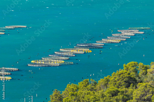 Photos Fish farming in Mattinata, Italy, showing aquaculture cages in the Adriatic Sea