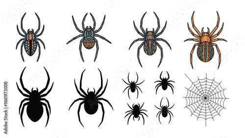 Eight Arachnids & Cobweb: Featuring a diverse collection of eight arachnids and a cobweb, this illustration presents various forms of spiders. Each spider in the design is an insect.