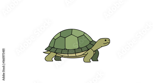 Illustration of a Turtle with Geometric Shell Isolated on White Backdrop Depicting Wildlife, Slow Pace, and Environmental Themes