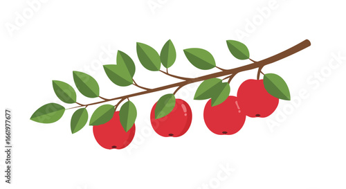 Stylized apple branch illustration featuring ripe red apples and vibrant green leaves on a brown branch against a white backdrop