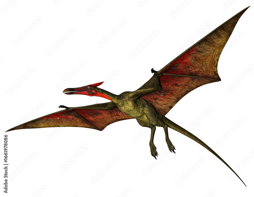 Fototapeta premium Prehistoric Pteranodon with Outstretched Wings White Background PNG