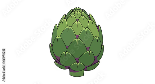 Detailed artichoke illustration against white backdrop showcasing its intricate leaf structure in verdant shades and soft shadow details