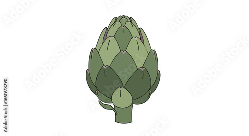 Artichoke Botanical Illustration: A Verdant and Detailed Depiction of a Culinary Delight, Highlighting the Plant's Unique Structure and Aesthetic