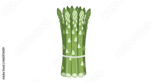 Stylized illustration of a bundle of fresh green asparagus tied with string against a plain white background for simple food designs