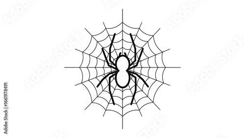 Spider and Web Illustration: A minimalistic depiction of a spider perched on its intricate web, rendered in a stark black and white color scheme.