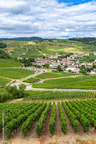 Fuisse village surrounded by vineyards in Bourgogne region, France, under cloudy sky