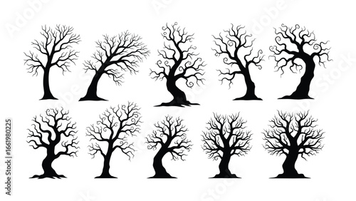 Silhouette of Barren Trees: A captivating collection of silhouetted trees, standing stark and bare against the crisp, clean background. Embodying themes of autumn and the stark beauty of nature.