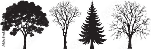 Different type of trees silhouettes set, palm tree pain tree. bare tree. vector
