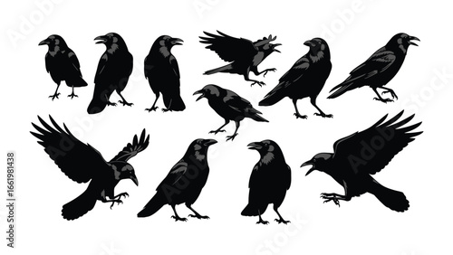 Raven Silhouettes: A collection of stark black silhouettes of ravens in various poses, standing out against a stark background, embodying the essence of dark symbolism.