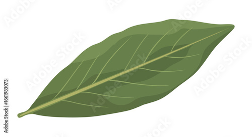 A single lush green leaf with intricate vein patterns isolated on a pure white background, symbolizing nature's simplicity and serene beauty for