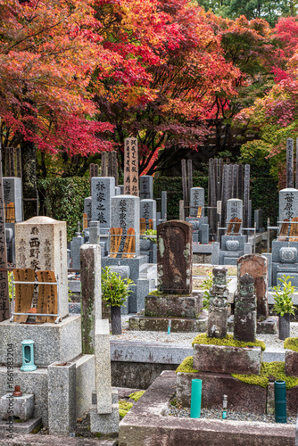 Fototapeta Traditional stone tombs inside a Japanese temple cemetery, surrounded by nature and serenity, reflecting Buddhist spirituality, respect for ancestors, and the timeless heritage of Japan