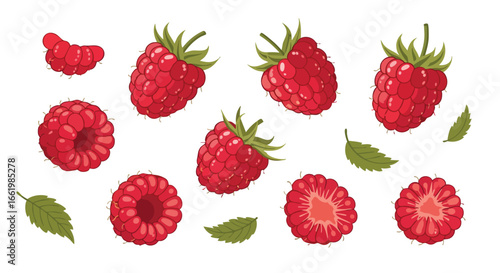 Vibrant illustration of fresh raspberries, showcasing their juicy texture, bright color, and leafy garnish against a clean white backdrop ideal for