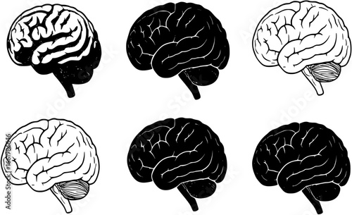 human brain silhouette
