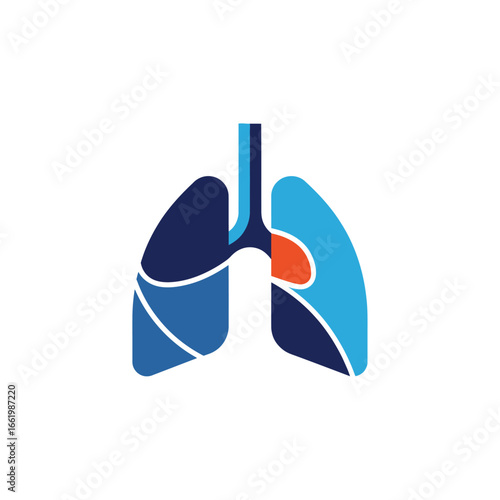 Illustration of human lungs with trachea and heart, representing respiratory system.