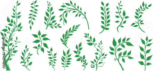 Green liana plants. Tropical climbing creepers branches with moss, rainforest flora flat vector illustration isolated on white background